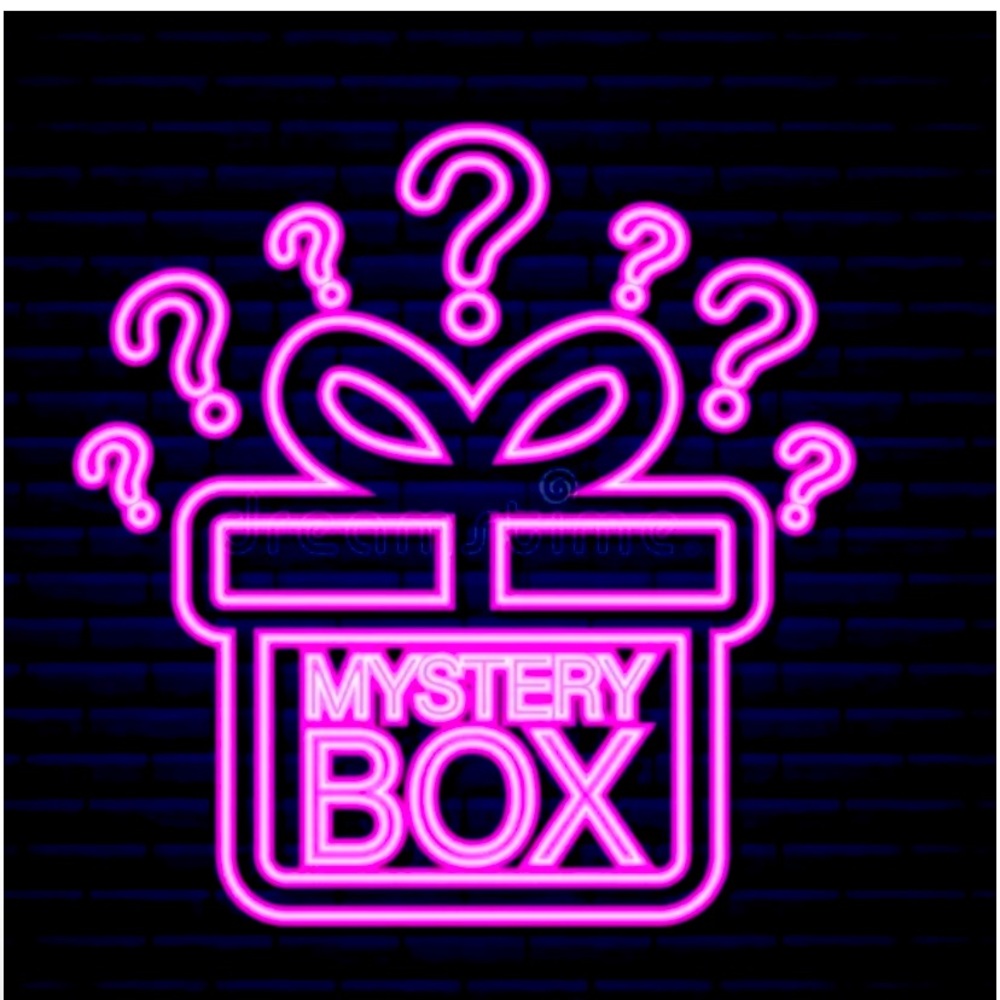 Designer/ Lux Mystery purse box?! What will you get?